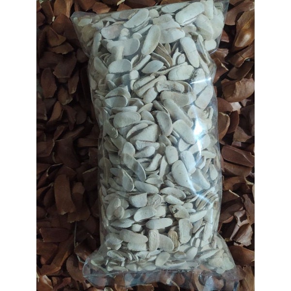 Biji Mahoni - Mahogany Seeds Swietenia mahagoni (Dried Seed, Peeled Seed and Powder)
