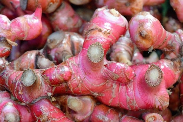 Jahe Merah -  Zingiber Officinale Var Rubrum Rhizoma