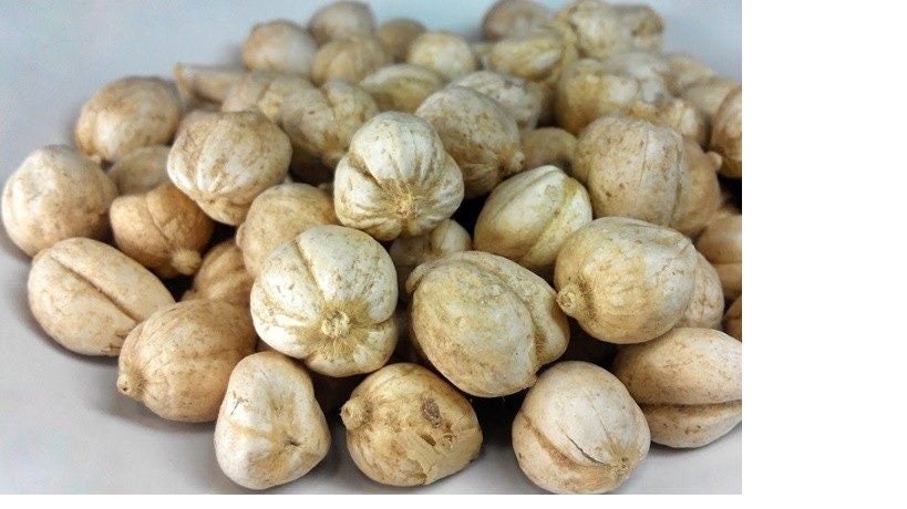 Buah Kapulaga (Cardamom) Whole Bean Amomum compactum Fruit (Dried Seed and Powder Seed)