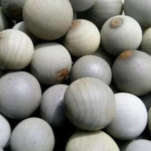 Buah Kebiul Gorek Biji Paring Kalaloyang Caesalpinia bonduc
