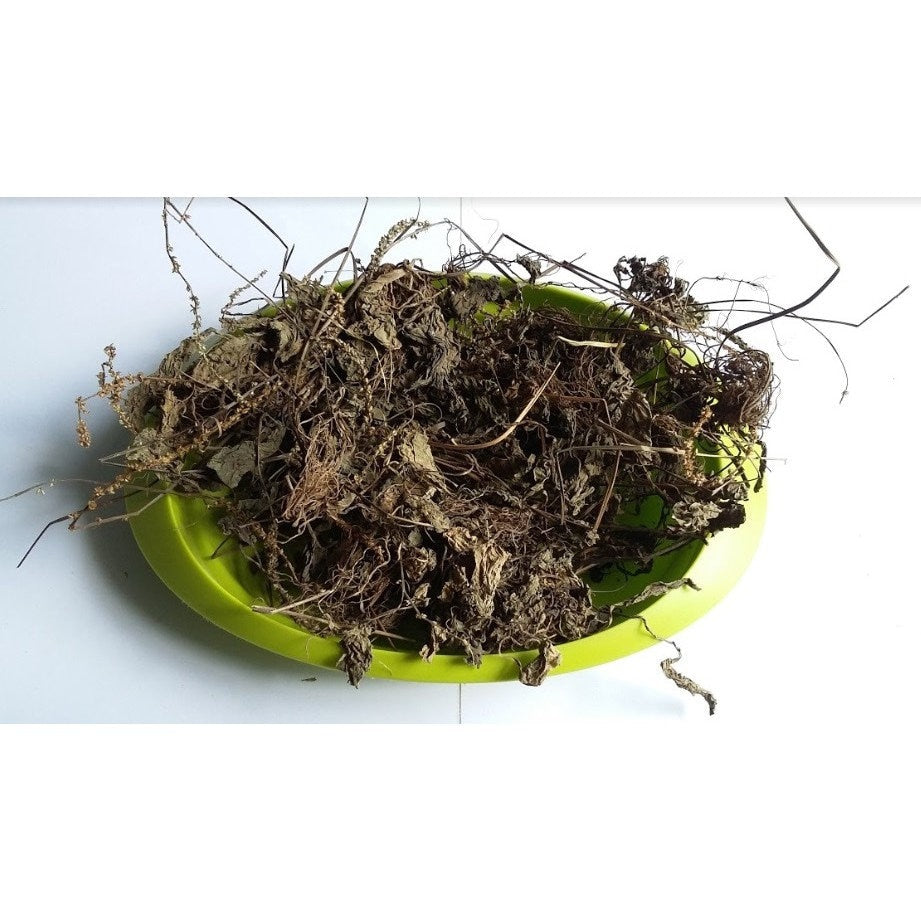 Daun Sendok Sendokan - Plantago major Leaf (Dried and Powder )