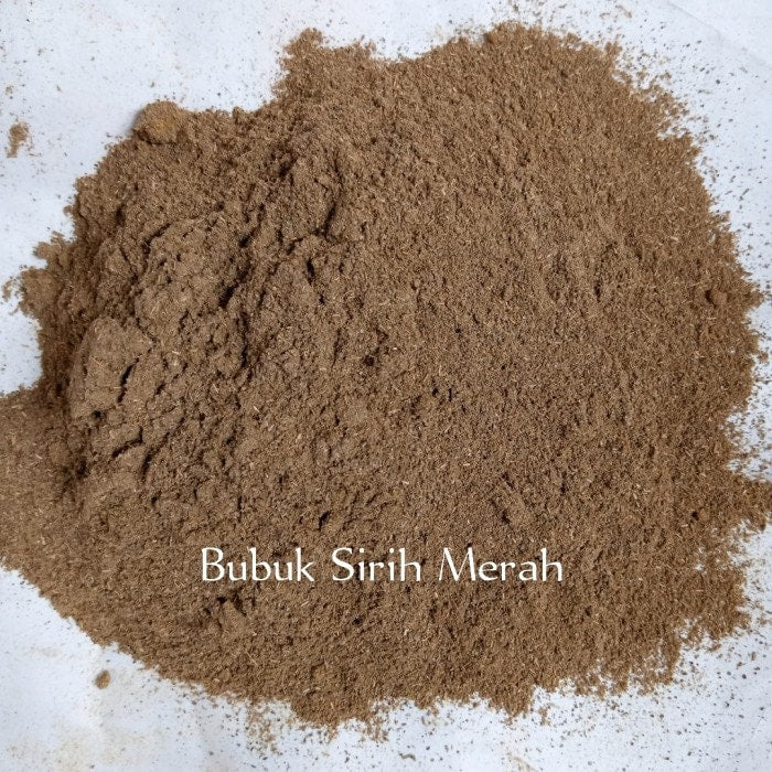 Daun Sirih Merah (Red Betel Leaf/Piper ornatum)