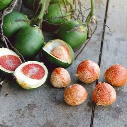 Buah Pinang  -  Betel Areca Nut Areca catechu  (Dried and Powder)