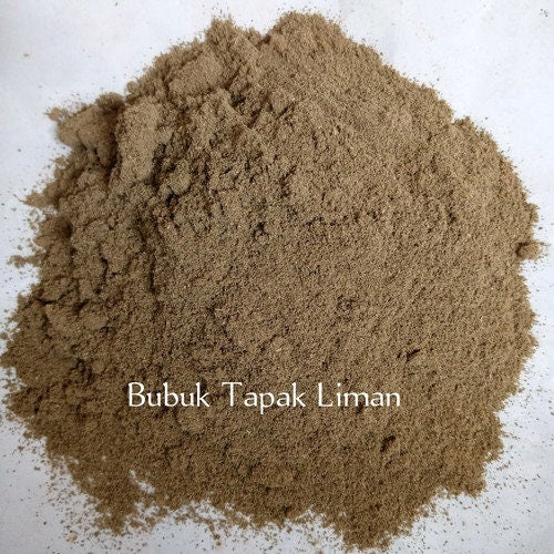 Daun Tapak Liman - Elephantophus scraber L Leaf (Dried and Powder)