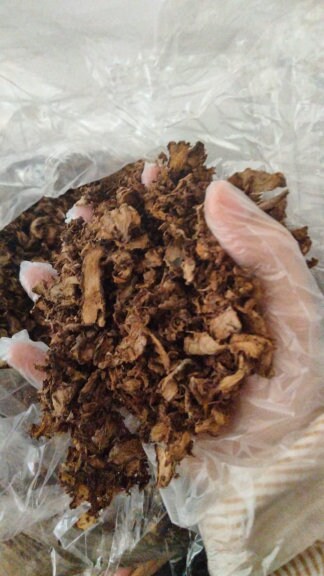 Jahe Merah -  Zingiber Officinale Var Rubrum Rhizoma