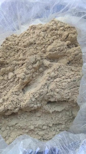 Jahe Gajah (Ginger) Zingiber officinale (Dried and Powder)
