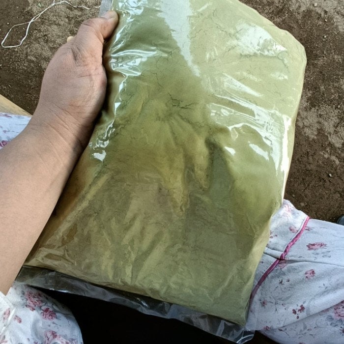 Daun Kersen Talok Kerukup Siam - Muntingia calabura Leaf (Dried and Powder)