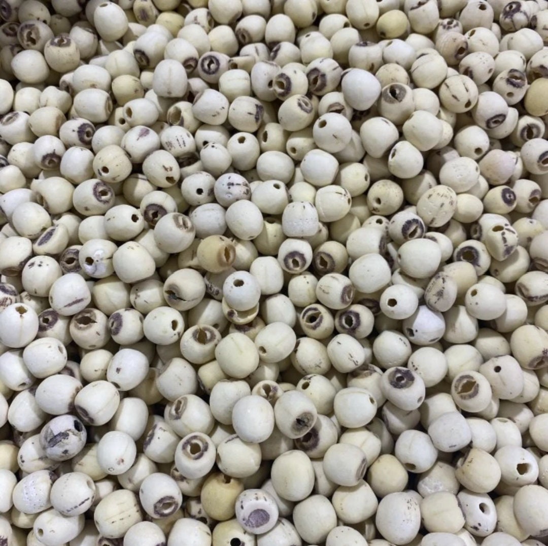 Dried Lotus Seeds (Biji Teratai Kering)