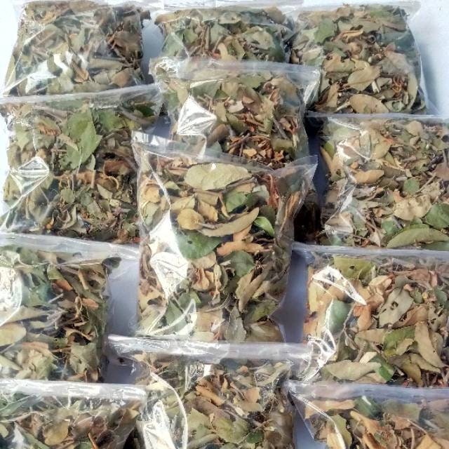 Daun Benalu Kopi Macrosolen cochinchinensis Leaf (Dried and Powder)