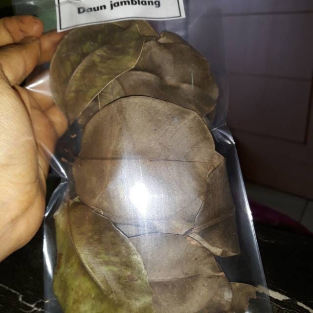 Daun Jamblang Juwet Hijau Duwet Jambu Keling Syzygium cumini Leaf (Dried and Powder)