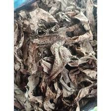 Daun Bungur/Banaba Lagerstroemia speciosa Leaf (Dried and Powder)