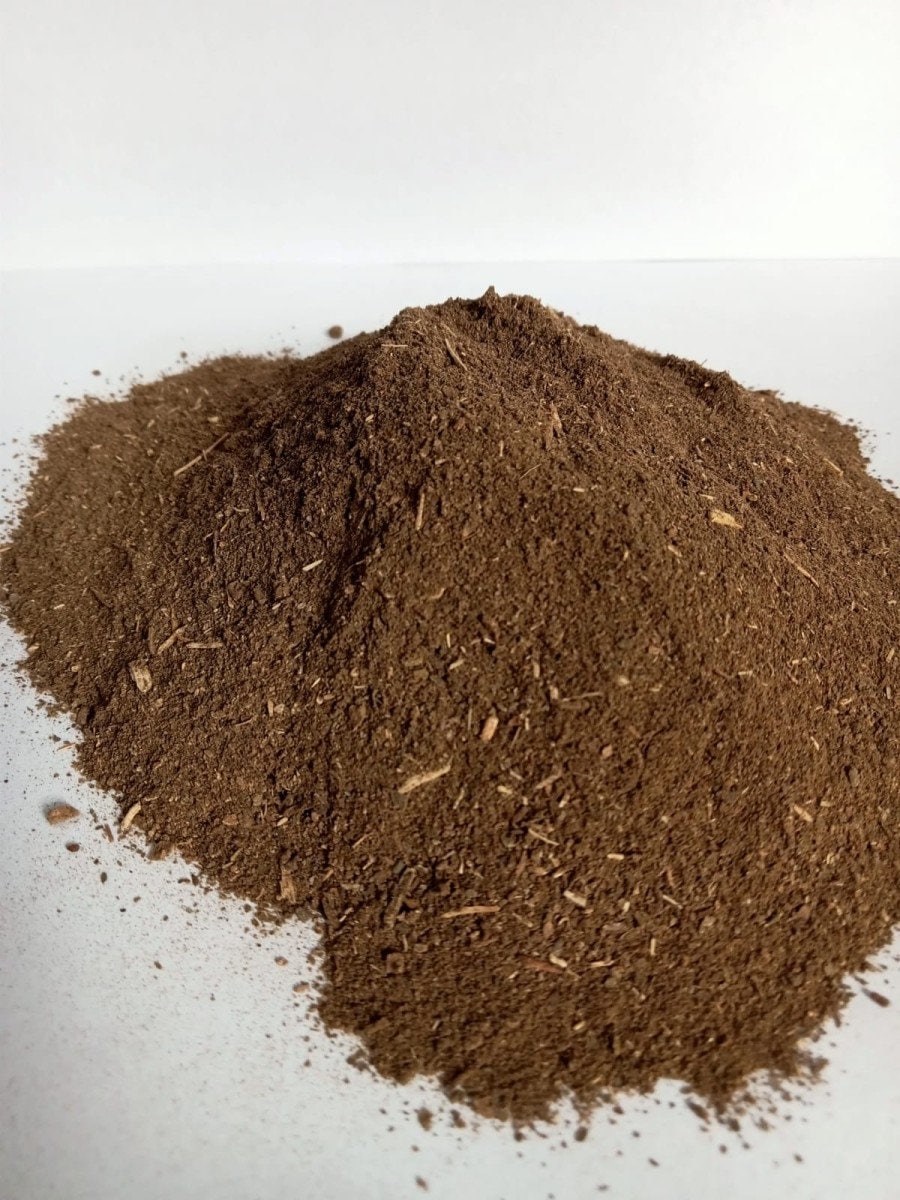Daun Cocor Bebek - Kalanchoe daigremontiana Leaf (Dried and Powder)