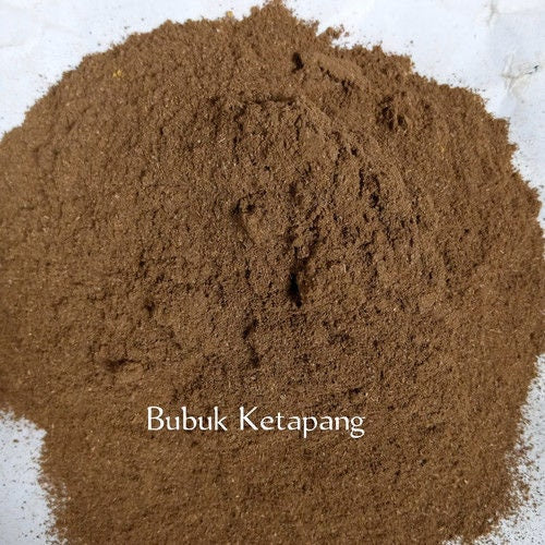 Daun Ketapang - Terminalia catappa Leaf (Dried and Powder)