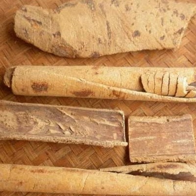 Kulit Kayu Pule Pulai Alstonia scholaris Wood (Dried and Powder)