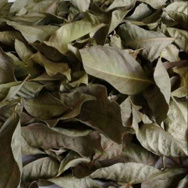 Daun Salam- Syzygium Polyanthum Leaf (Dried and Powder)