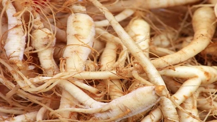 Gingseng Jawa Bubuk Kolosom Jawa  - Talinum paniculatum (Dried and Powder)