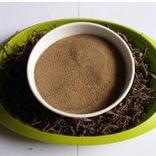 Daun Krokot Merah Bubuk - Portulaca Oleraceae Leaf Powder