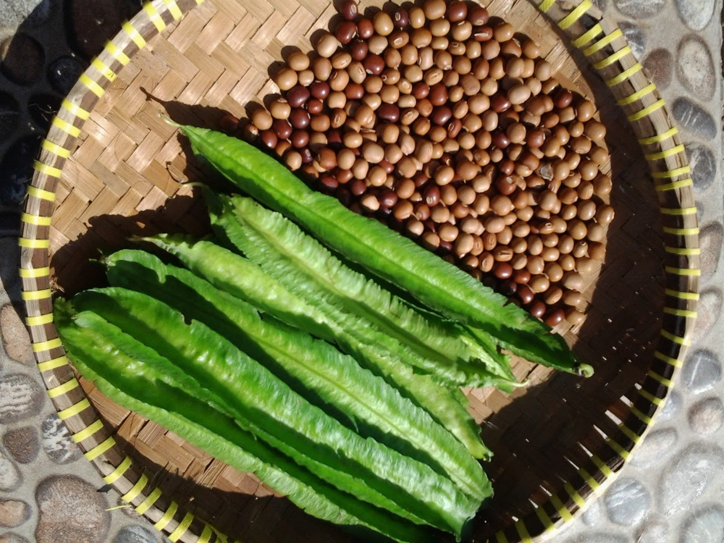 Biji Kecipir - Psophocarpus Tetragonolobus Seed Dried