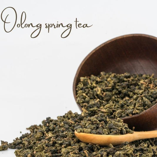 Oolong Spring Tea