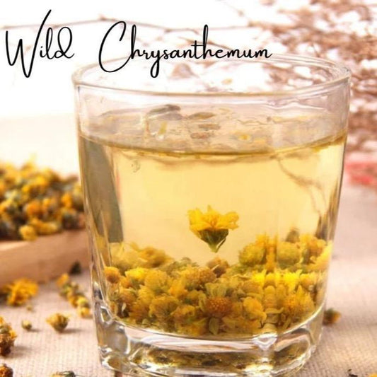 Teh Bunga Krisan Liar(Wild chrysanthemum)