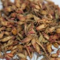 Bunga Sidowayah Kering - Woodfordia Floribunda Salisb Flower Dried