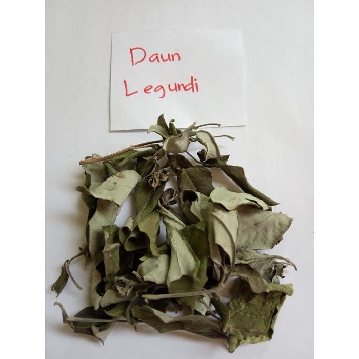 Daun Legundi - Vitex trifolia Leaf (Dried and Powder)