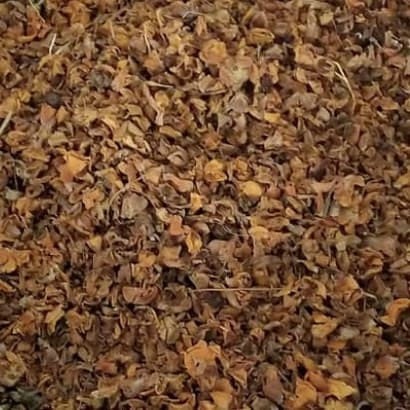 Bunga Puspa Kering - Schima wallichii Dried