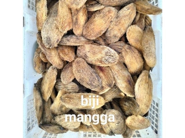 Biji Mangga Kering (Dried Mango Seeds)
