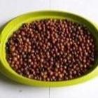 Biji Kecipir - Psophocarpus Tetragonolobus Seed Dried