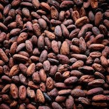 Biji Coklat Kering (Theobroma Cacao Seed Dried)