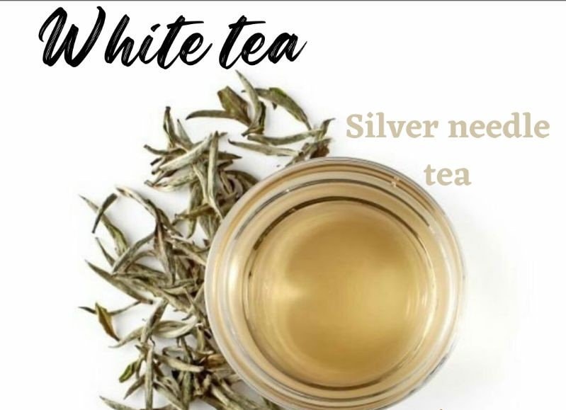 White tea Kering (Silver needle tea Dried)