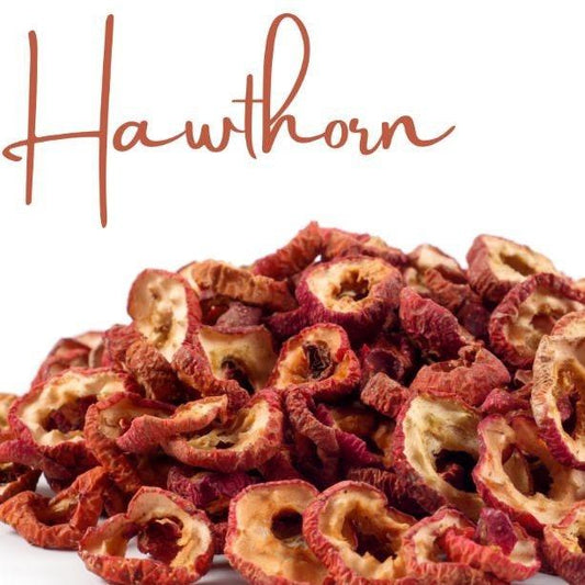 Buah Hawthorn Kering  (Hawthorn)