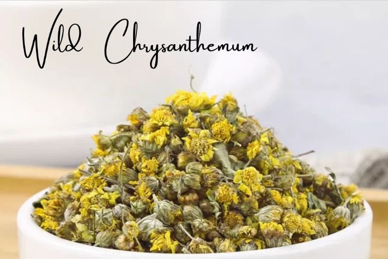 Teh Bunga Krisan Liar(Wild chrysanthemum)