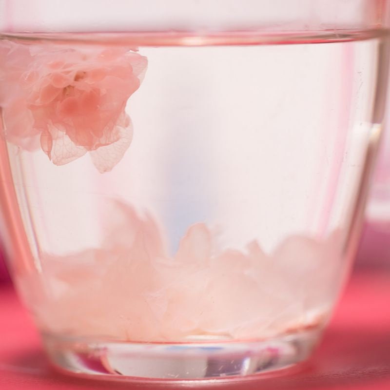 Teh Bunga Sakura Kering (Salted Sakura Dried)