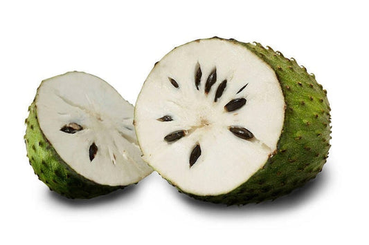 Biji Sirsak Kering (Annona muricata Seed Dried)