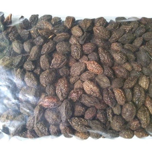Biji Mojokeling Terminalia chebula Dried Seed
