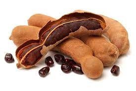 Biji Asam Jawa Kering - Tamarind Seeds Dried