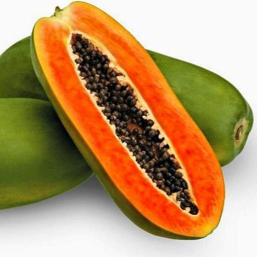 Pepaya California Bubuk (Carica Papaya Powder)
