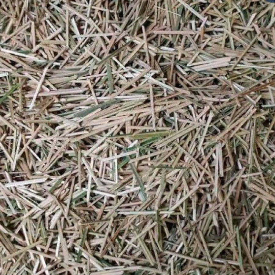 Biting Bambu (Bamboo Bits)