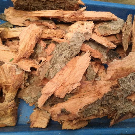 Kulit Kayu Juwet/ Duwet Kering (Syzygium cumini Dried)