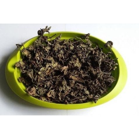 Daun Pletekan - Minnie root Ruellia tuberosa Leaf (Dried and Powder)