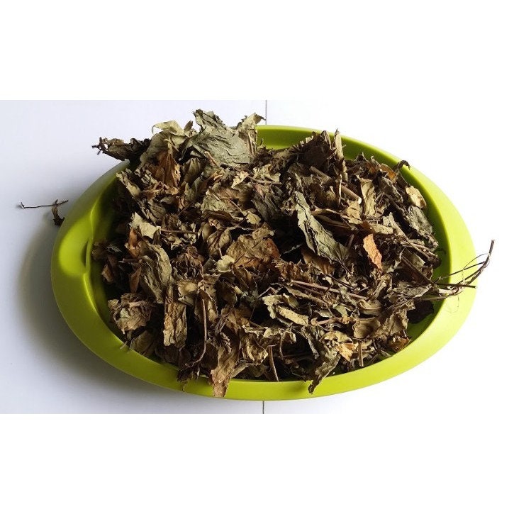 Daun Bunga Sepatu - Hibiscus rosa-sinensis (Dried and Powder)