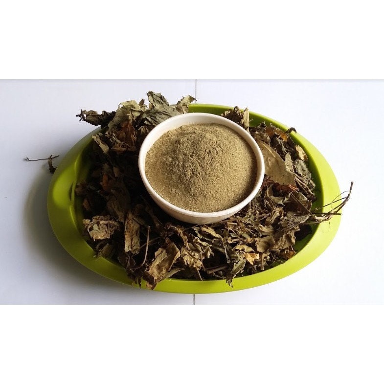 Daun Bunga Sepatu - Hibiscus rosa-sinensis (Dried and Powder)