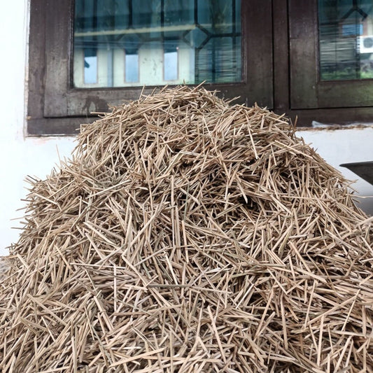Biting Bambu (Bamboo Bits)