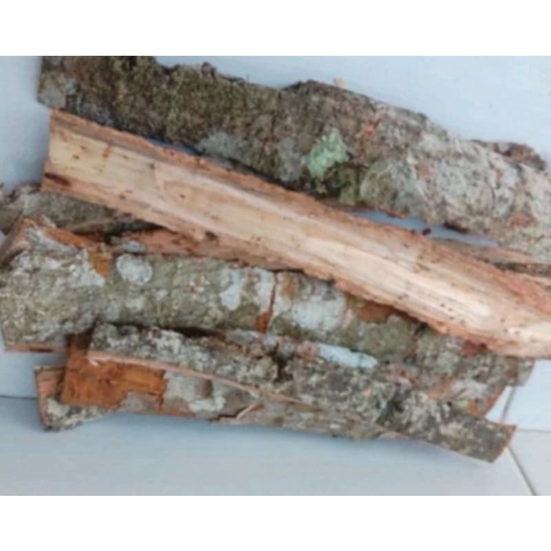 Kulit Pohon Waru Kering (Hibiscus Tiliaceus Peel Dried)