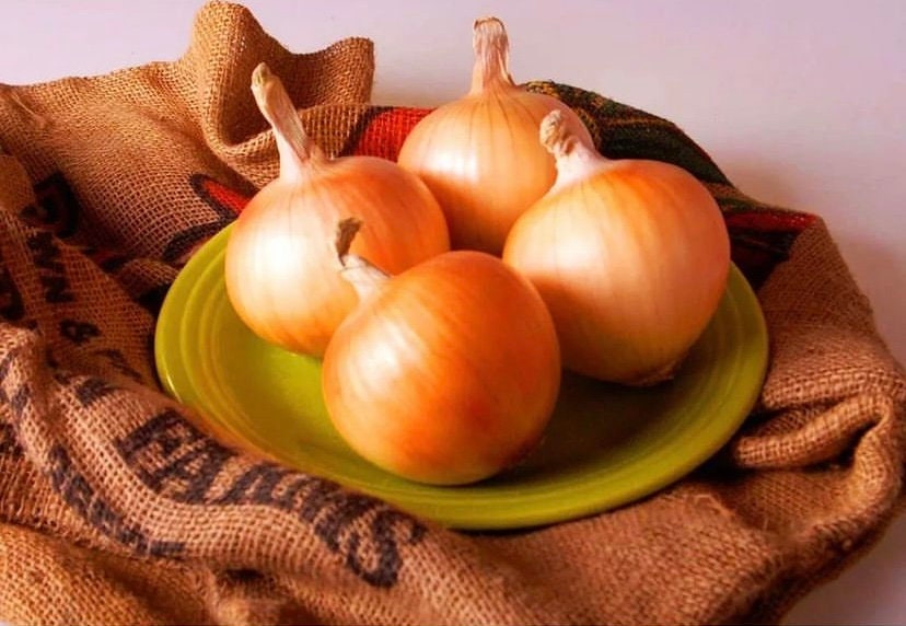 Bawang Bombay Bubuk (Allium cepa Powder)