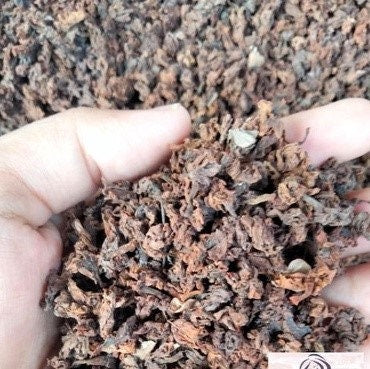 Bunga Srigading - Nyctanthes arbor-tristis Flower (Dried and Powder)