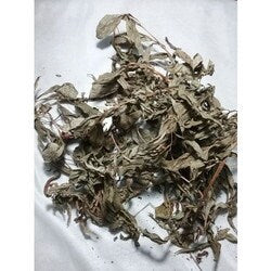 Daun Prasman - Ayapana triplinervis (Dried and Powder)