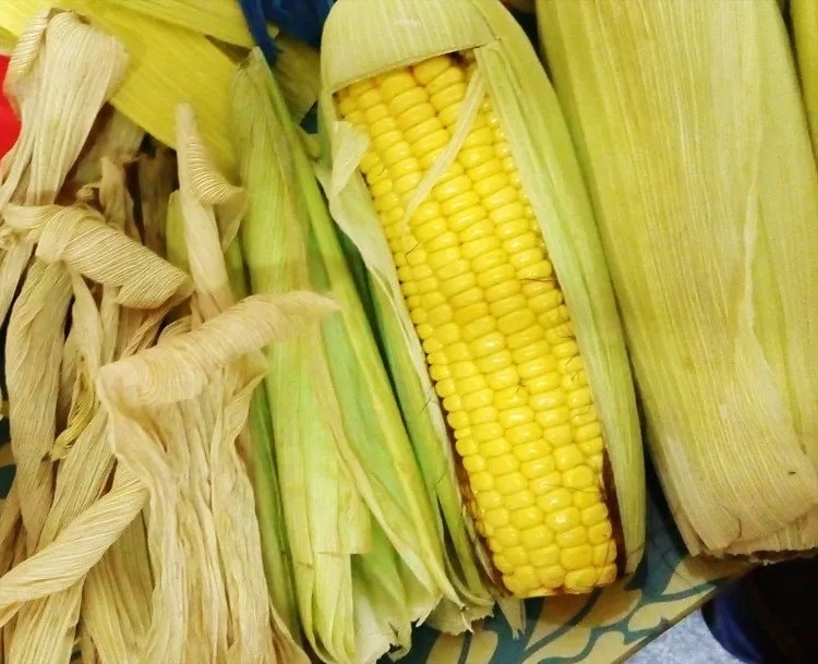 Craft - Colored Dry Corn Husk