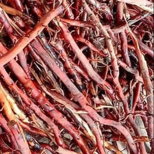 Akar Pohon Kelapa (Dried Coconut Roots)